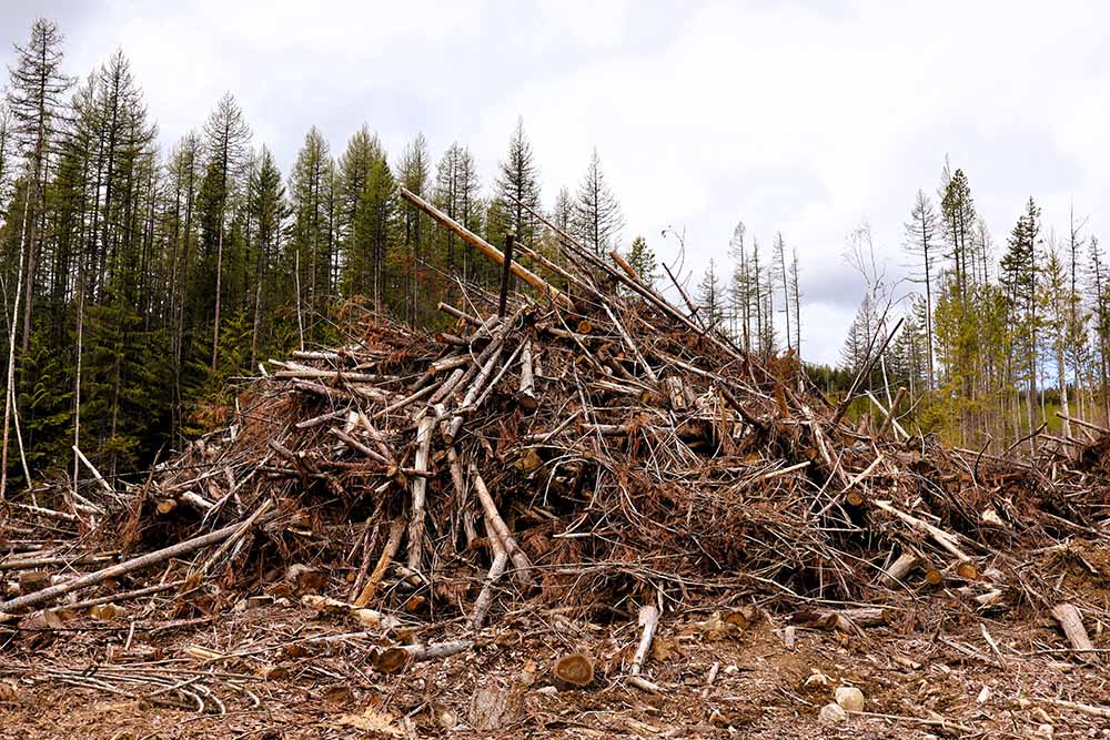 Logging slash that makes biochar